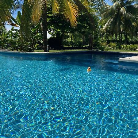 Sand Dollar Beach Bed & Breakfast Bocas del Toro Eksteriør bilde
