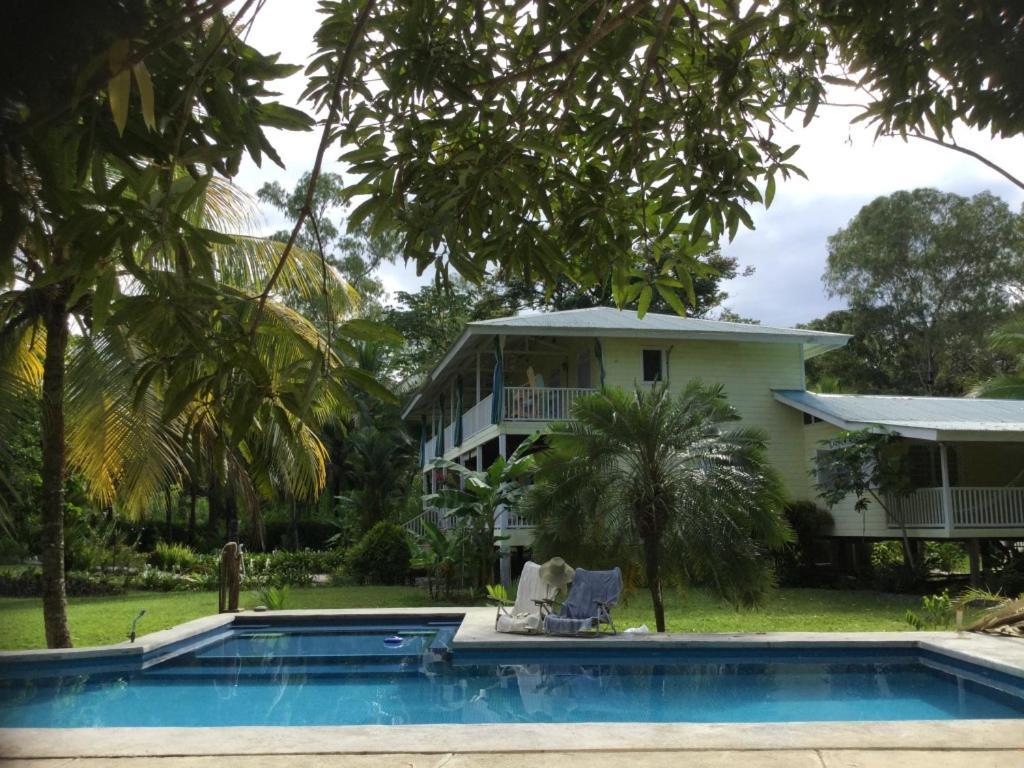 Sand Dollar Beach Bed & Breakfast Bocas del Toro Eksteriør bilde