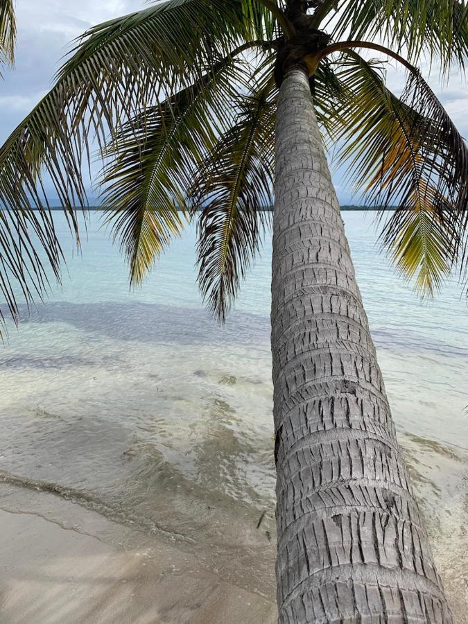 Sand Dollar Beach Bed & Breakfast Bocas del Toro Eksteriør bilde