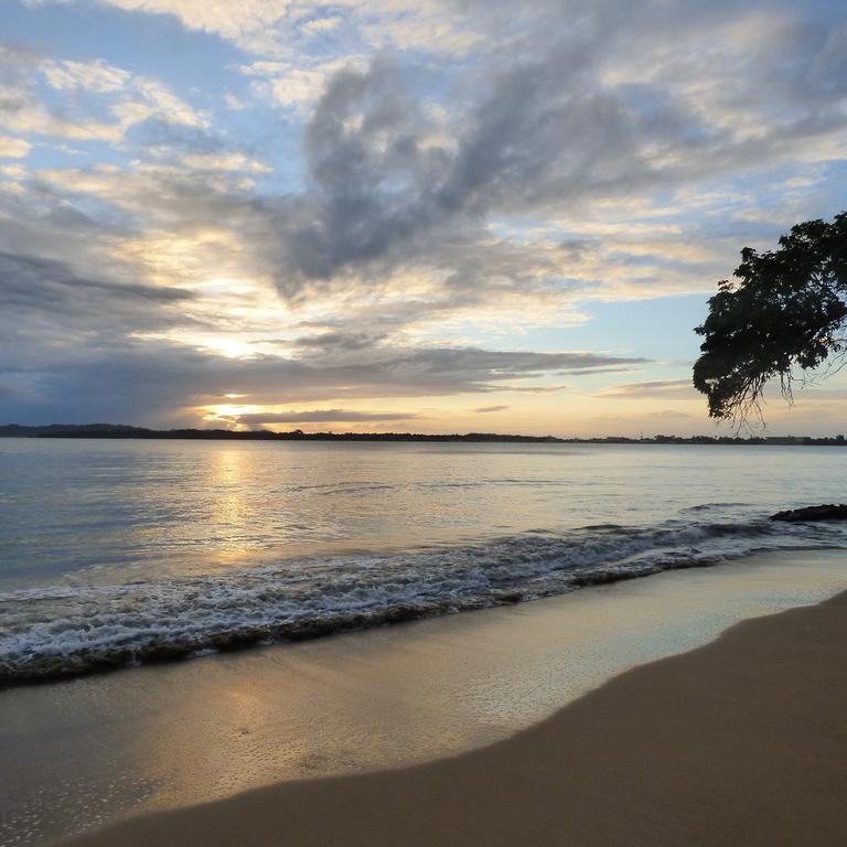 Sand Dollar Beach Bed & Breakfast Bocas del Toro Eksteriør bilde