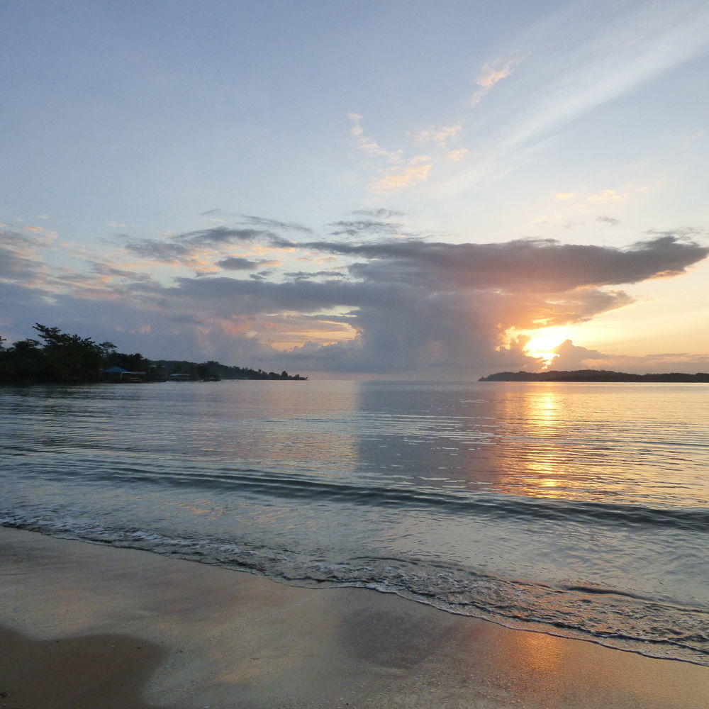 Sand Dollar Beach Bed & Breakfast Bocas del Toro Eksteriør bilde
